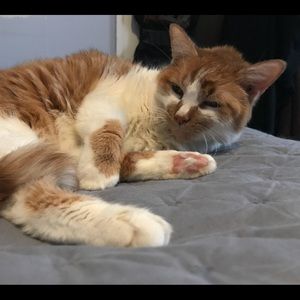 Meet your Posher, Sonia